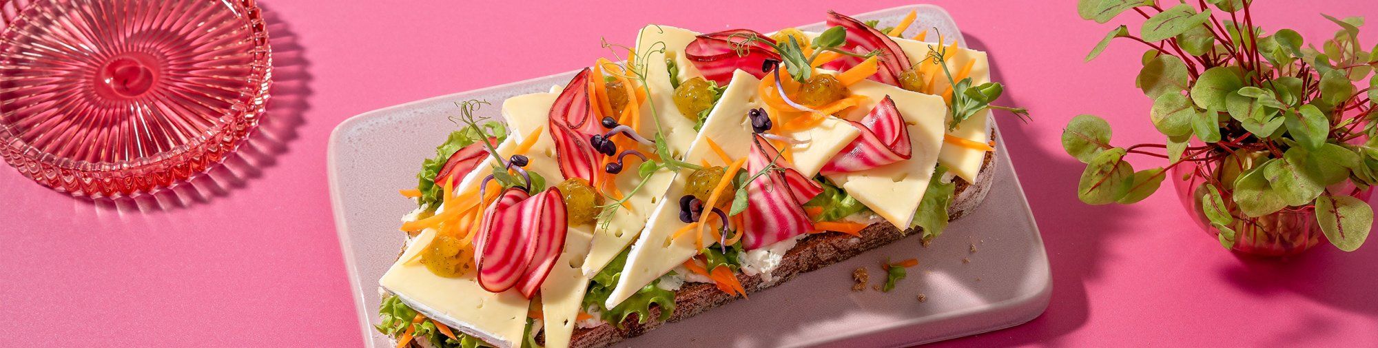 Belegtes Käsebrot auf Teller serviert und pinken Untergrund